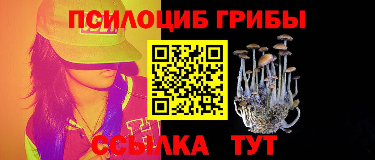 Псилоцибиновые грибы мицелий Аргун
