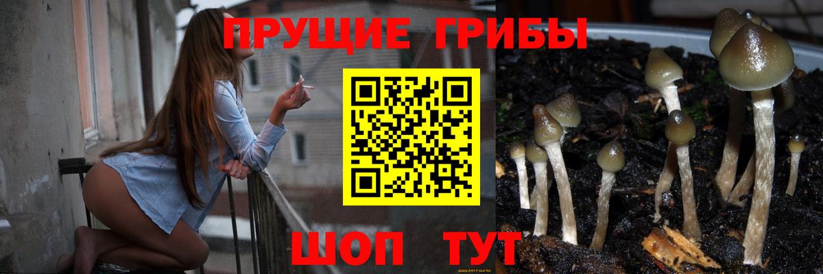Аргун  Галлюциногенные грибы GOLDEN TEACHER  Псилоцибиновые грибы мухоморы  Вход с VPN 